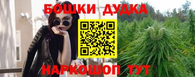 крисы Железногорск