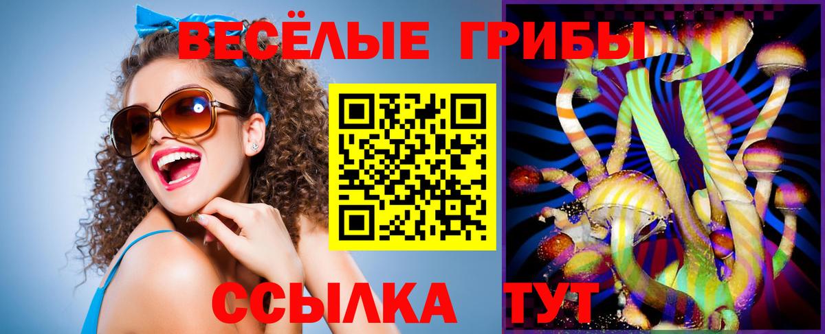 Псилоцибиновые грибы Magic Shrooms  Вход с VPN  купить наркоту  Бахчисарай 